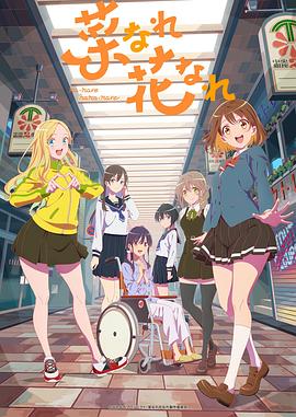 北京seo哪家公司强